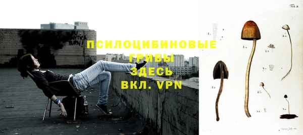 тгк Армянск